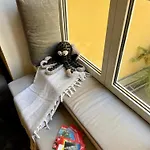 Cute, Quiet And - Self Check In 公寓 巴德伊舍