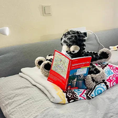 Apartment Cute, Quiet And - Self Check In Bad Ischl