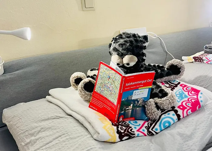 Apartman Cute, Quiet And - Self Check In Bad Ischl